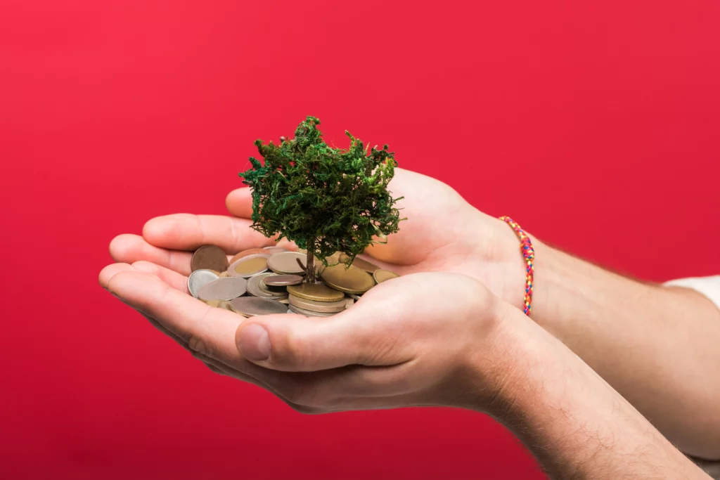 Hands holding a money tree and coins