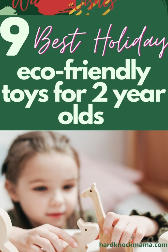 pin for eco-friendly toys blog post